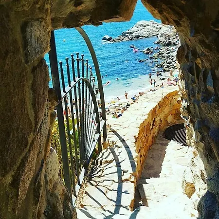 Apartment Cala Salions, Chalana Ii *