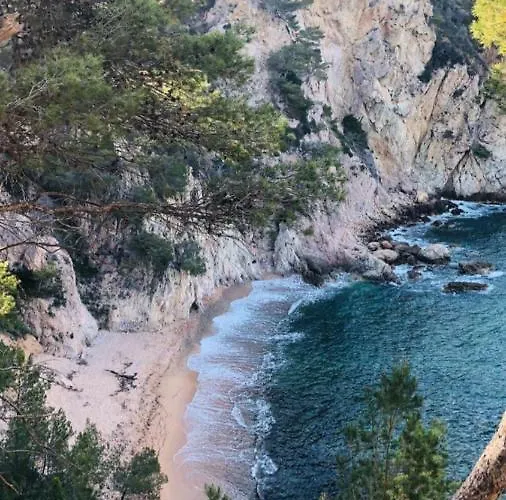Chalana Ii, Cala Salions, Tossa De Mar Διαμέρισμα Τόσα ντε Μαρ